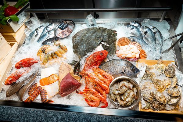 Bigfish Ice Counter