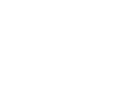 Bigfish Logo
